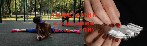 прущие грибы Алексин