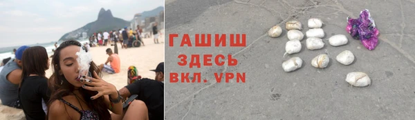 гашик Новозыбков