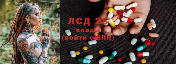 прущие грибы Алексин